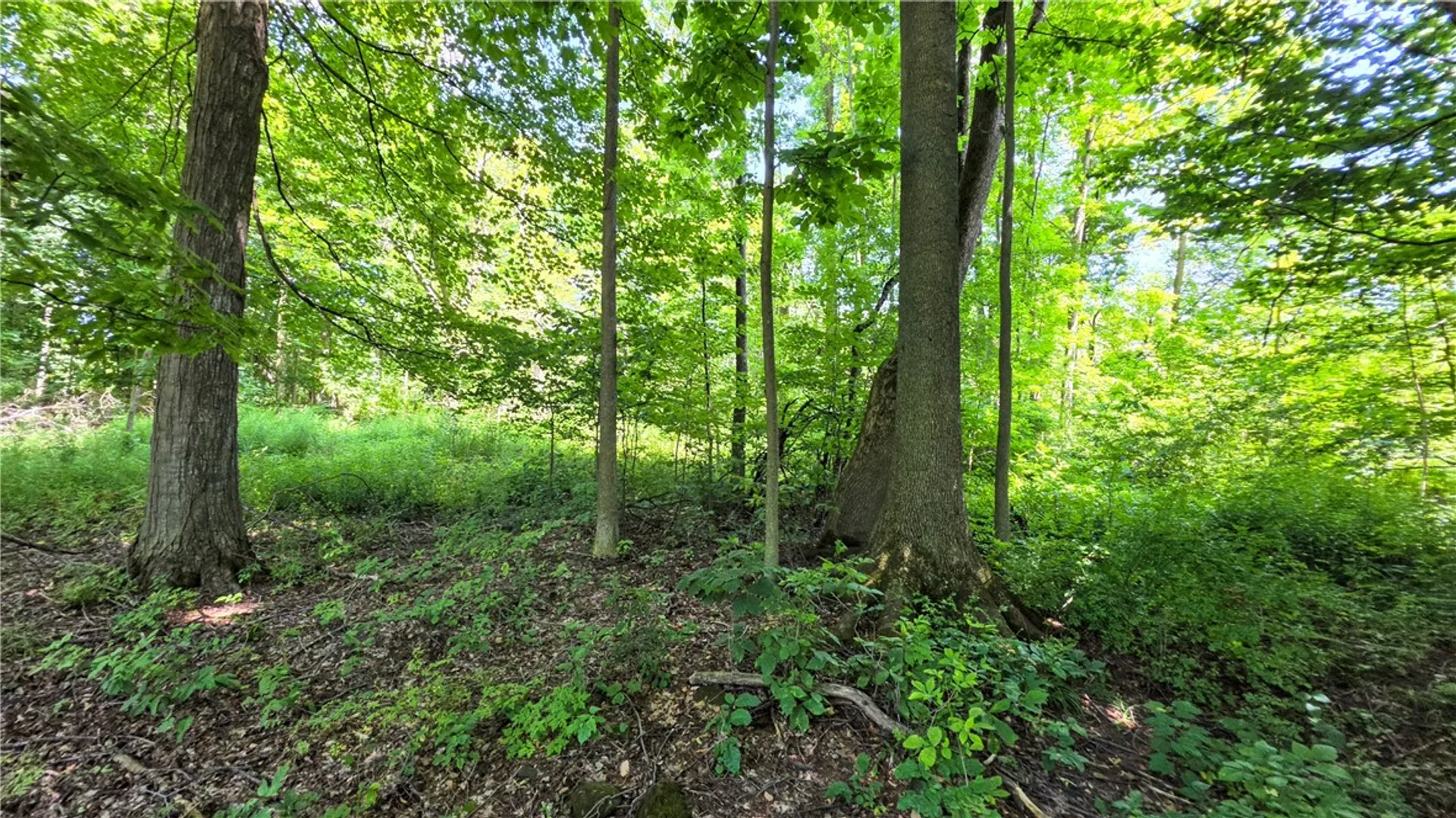 Property at 0 Morris Road, Dryden, NY 13068 12