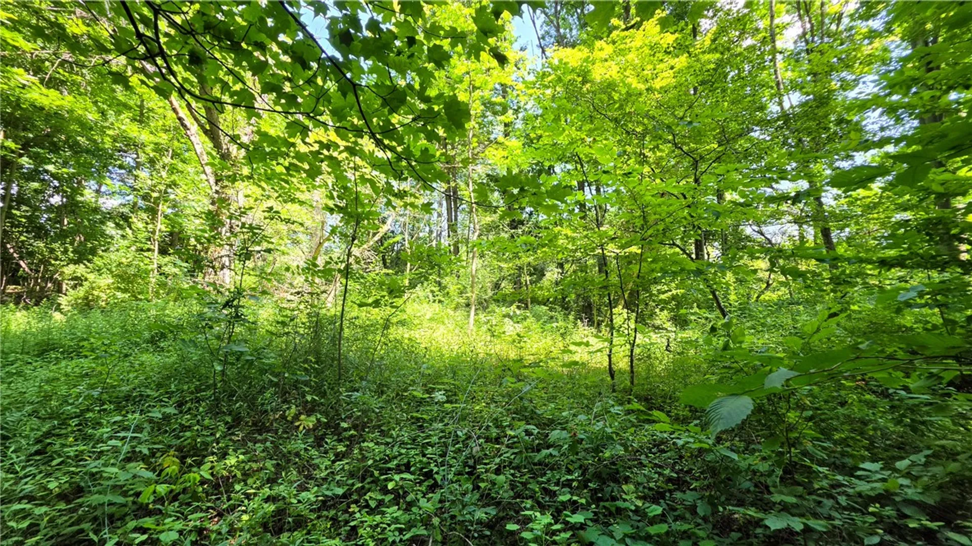 Property at 0 Morris Road, Dryden, NY 13068 13