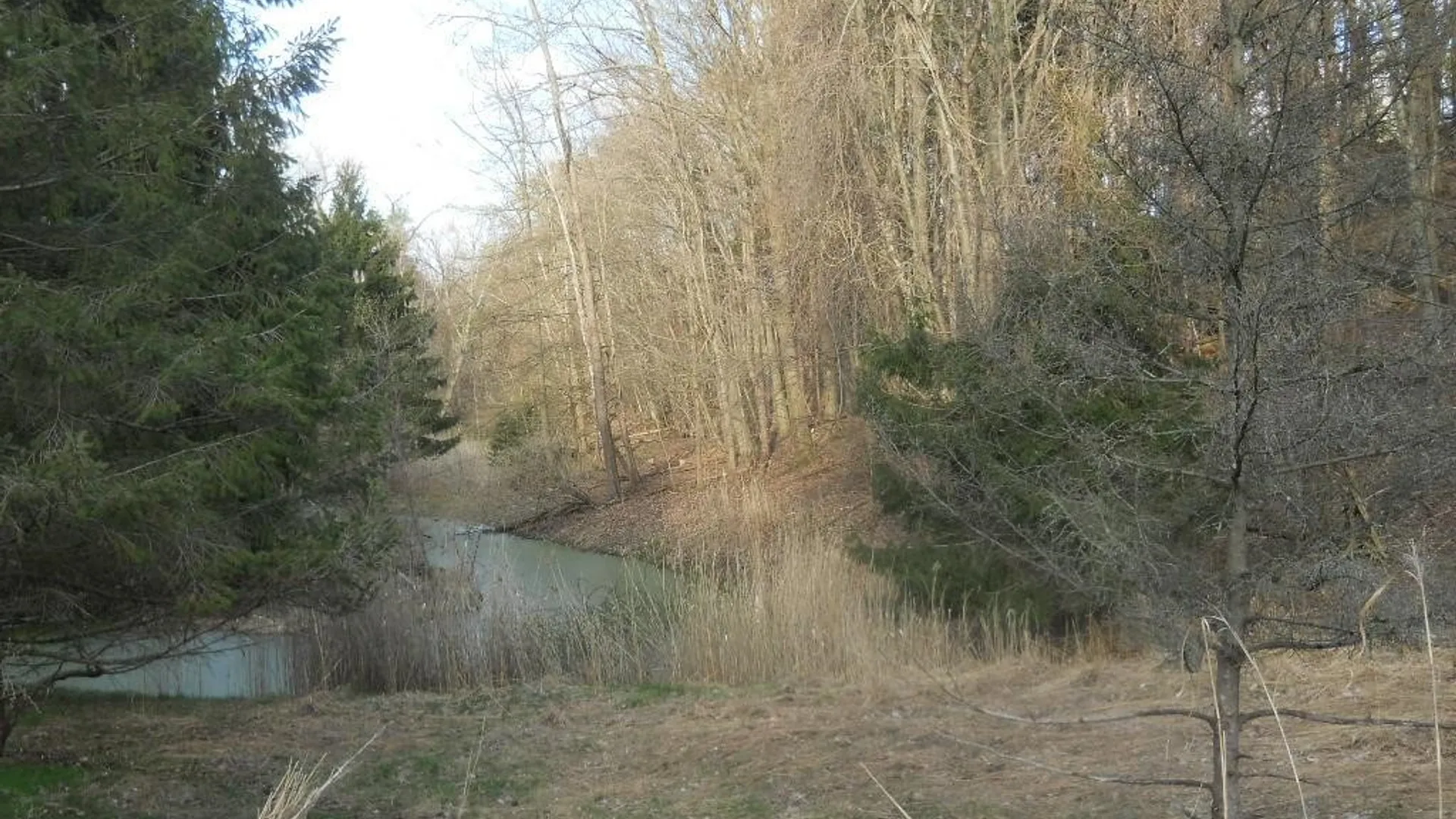 Property at Pinegrove Avenue, Irondequoit, NY 14617 4