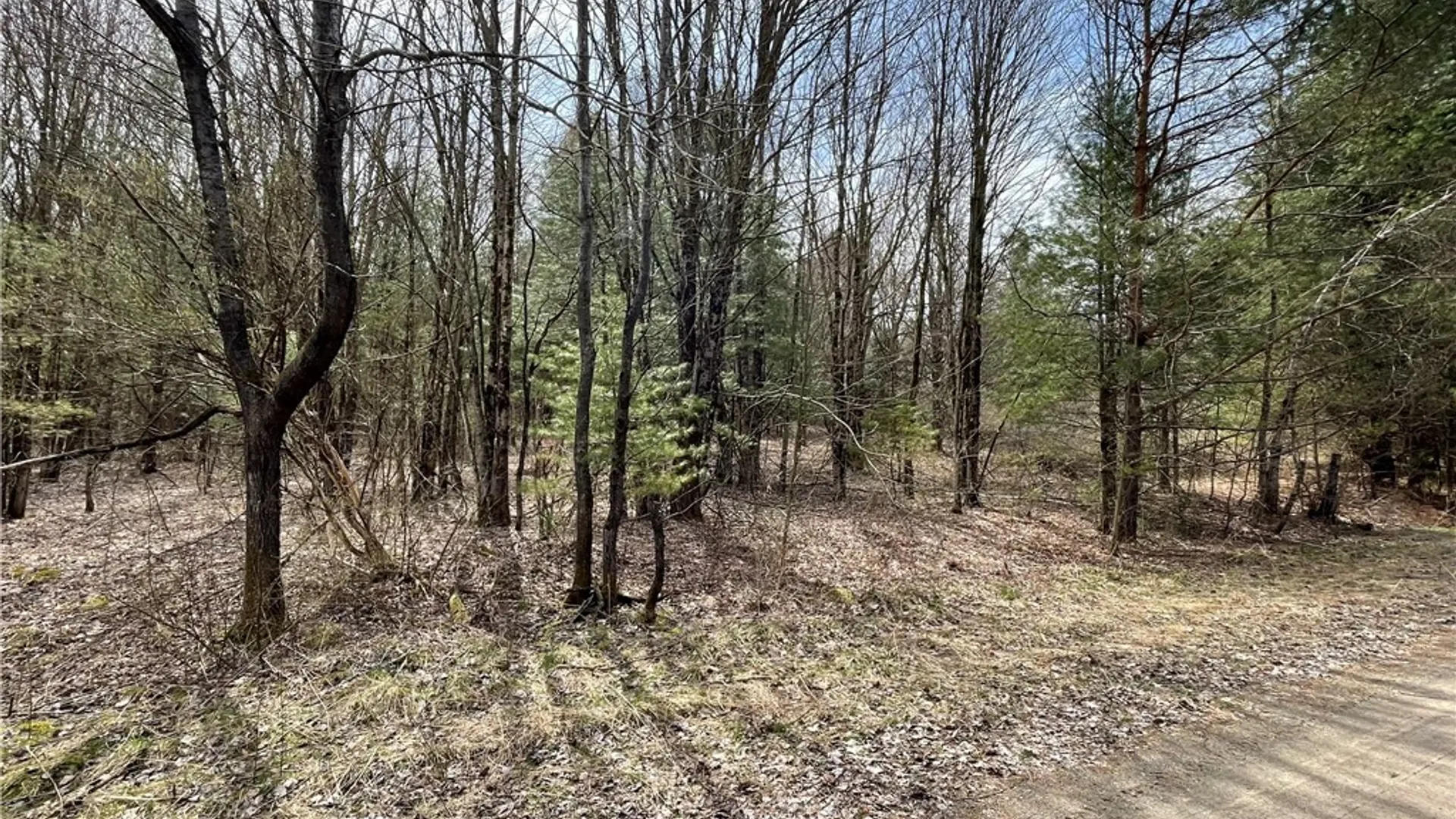 Property at 0 Austin Road, Albion, NY 13302 8