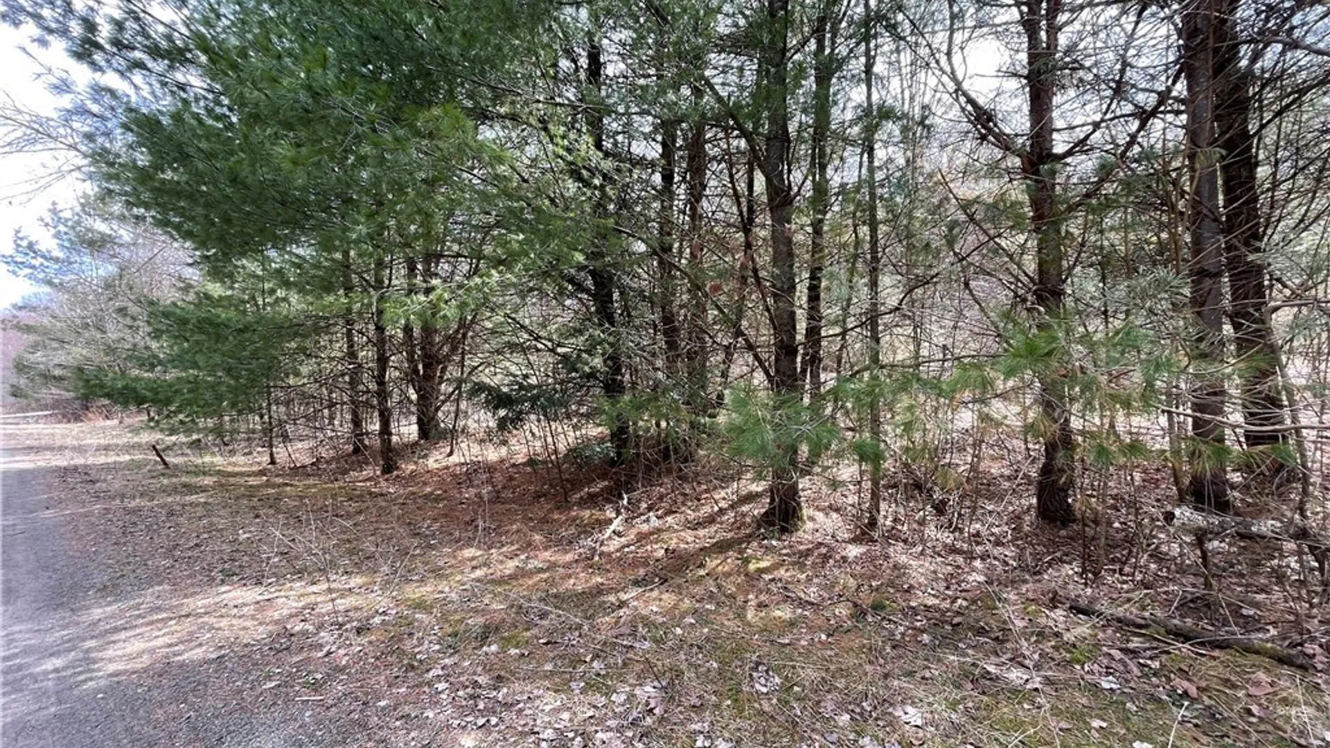 Property at 0 Austin Road, Albion, NY 13302 9