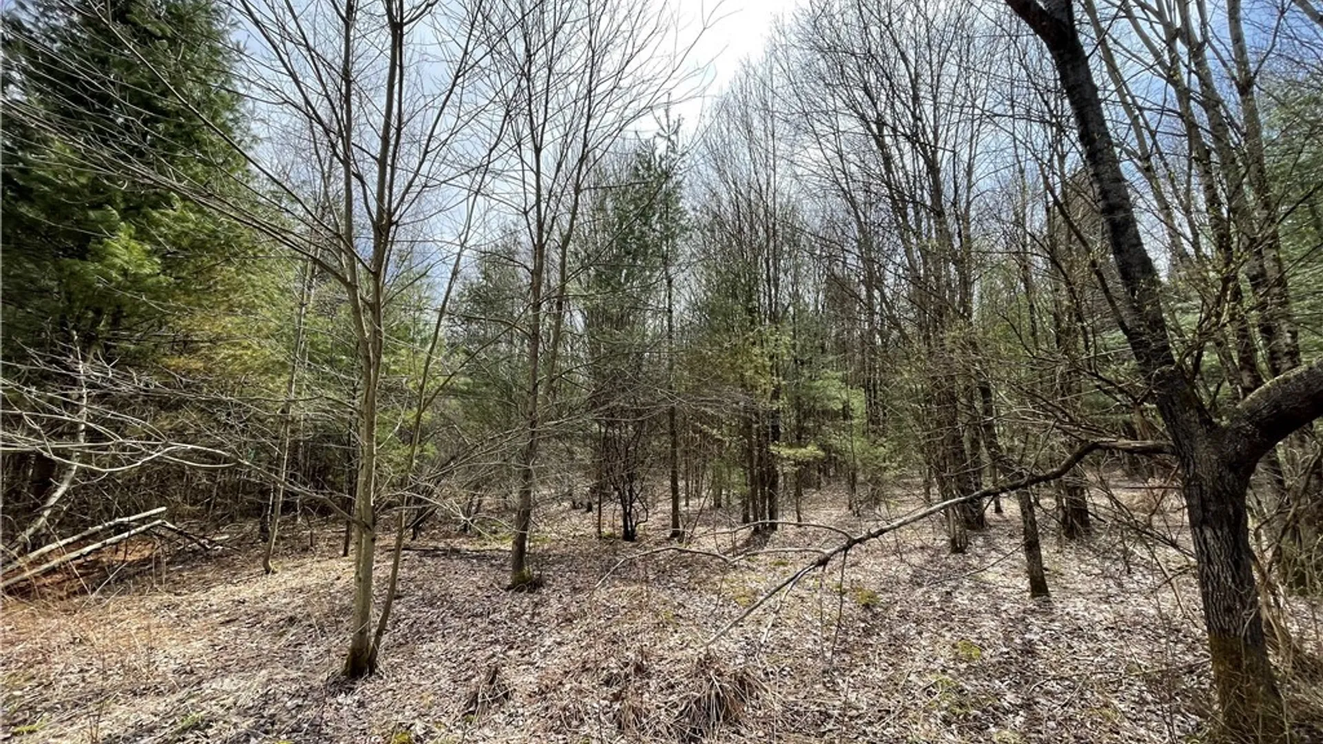 Property at 0 Austin Road, Albion, NY 13302 11