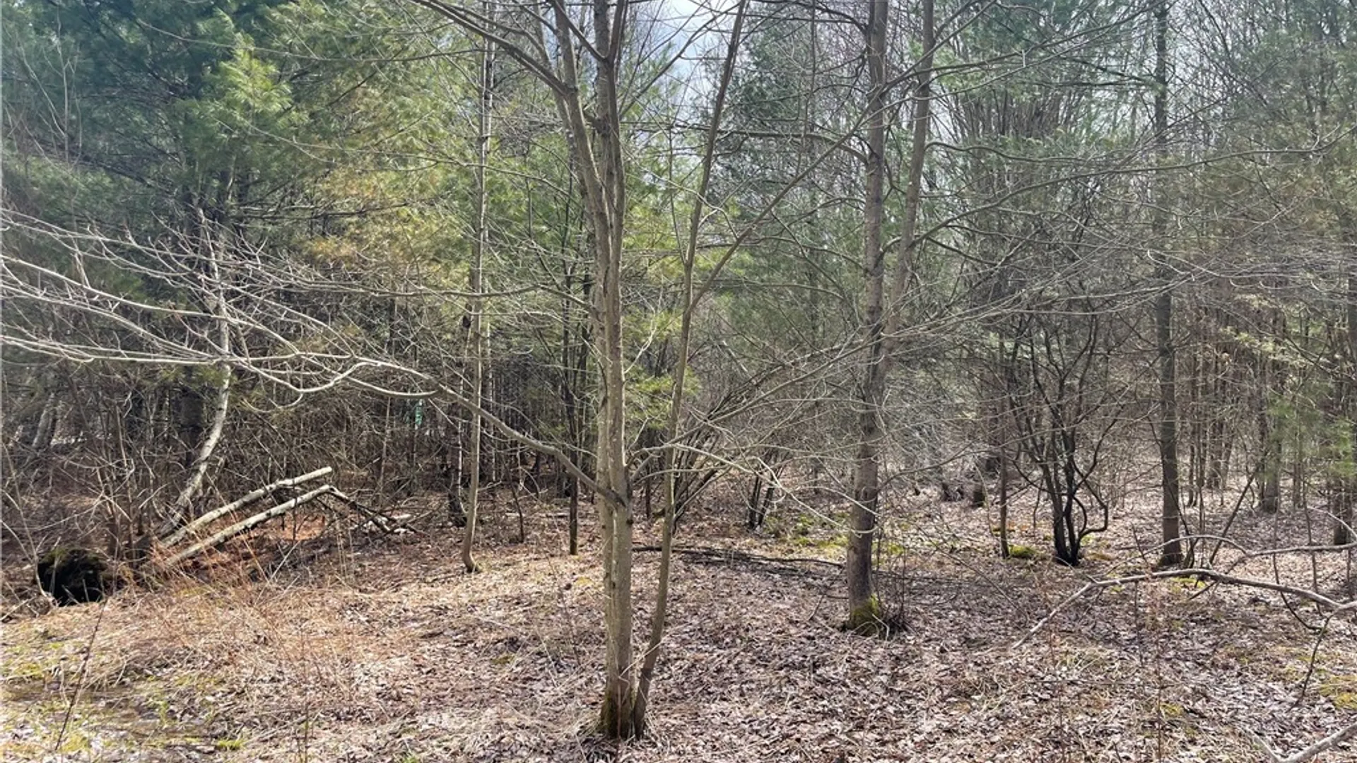 Property at 0 Austin Road, Albion, NY 13302 12