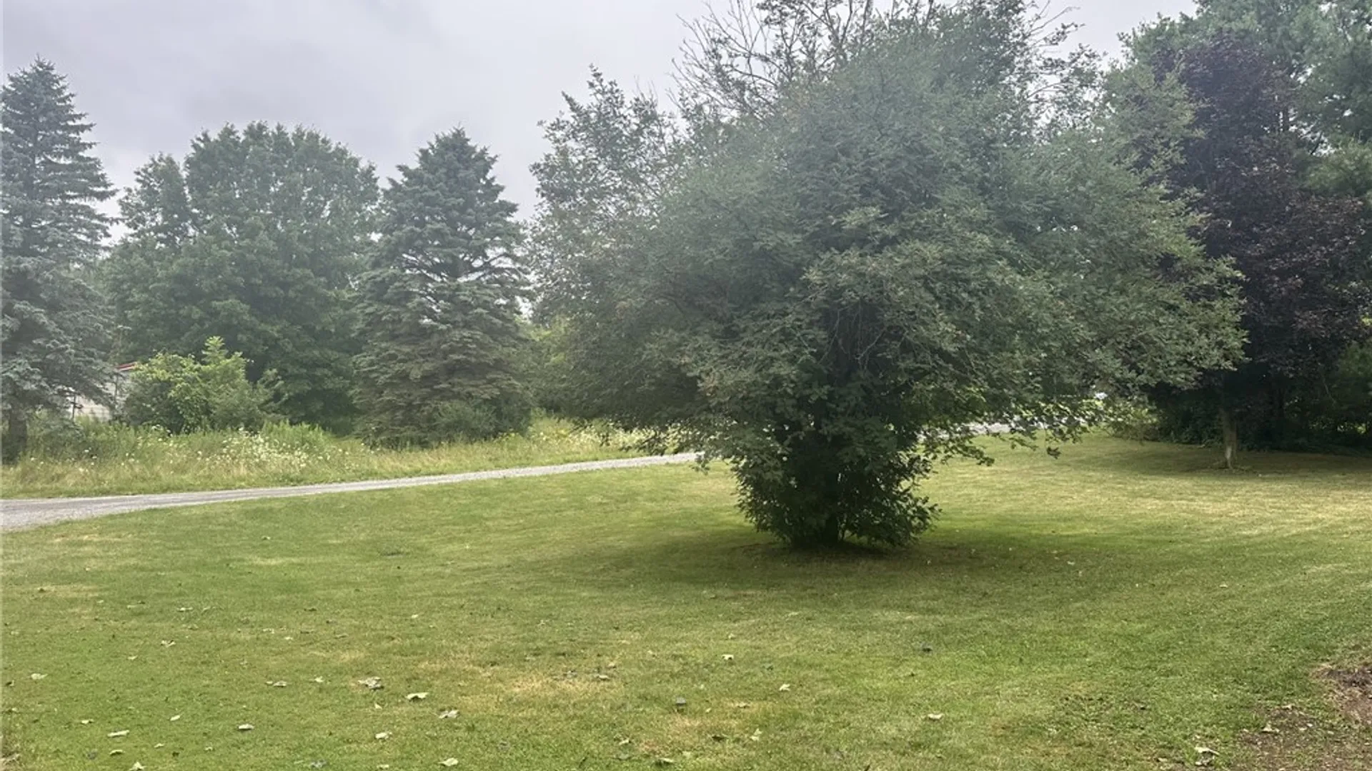 Property at 6516 Conesus Sparta Tl Road, Sparta, NY 14435 24