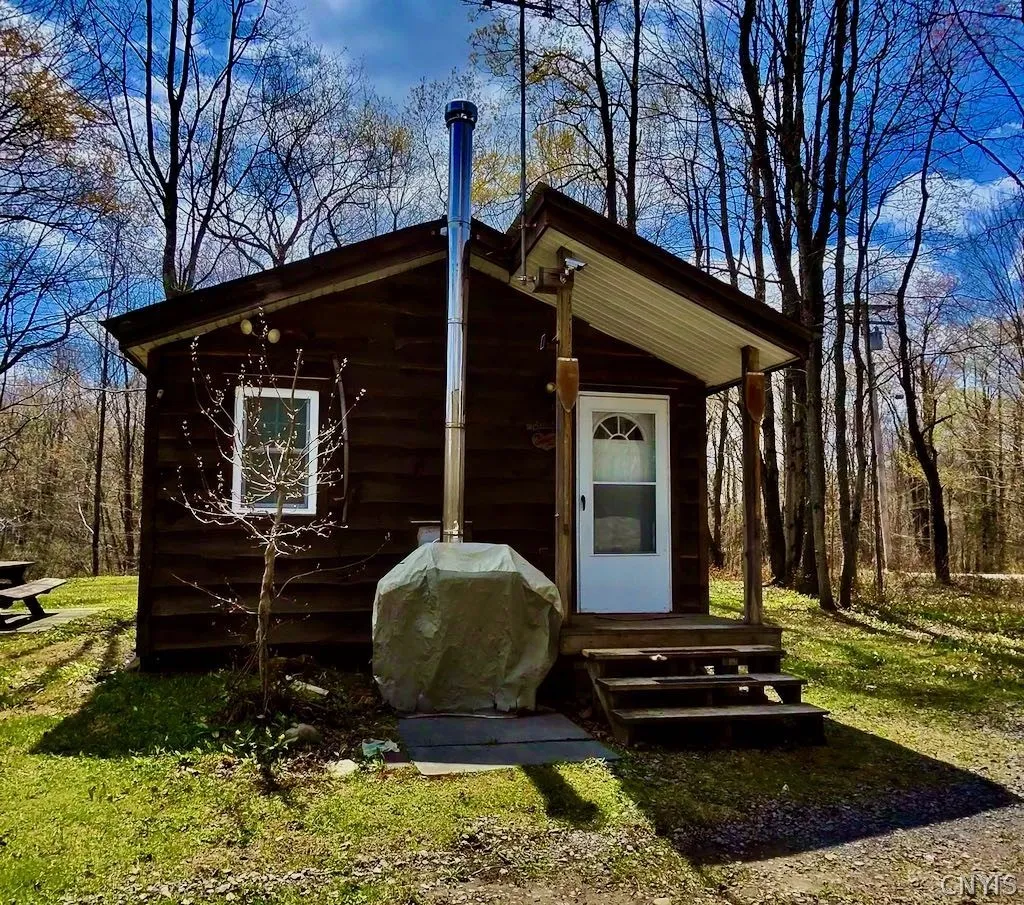 Property at 168 Carpenter Road, Orwell, NY 13144