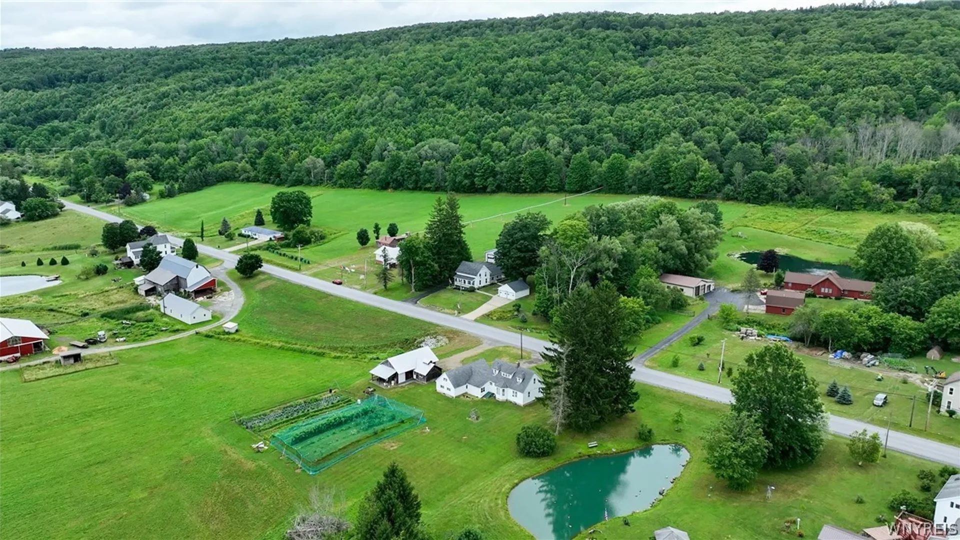 Property at 9718 Route 240, Ashford, NY 14171 13