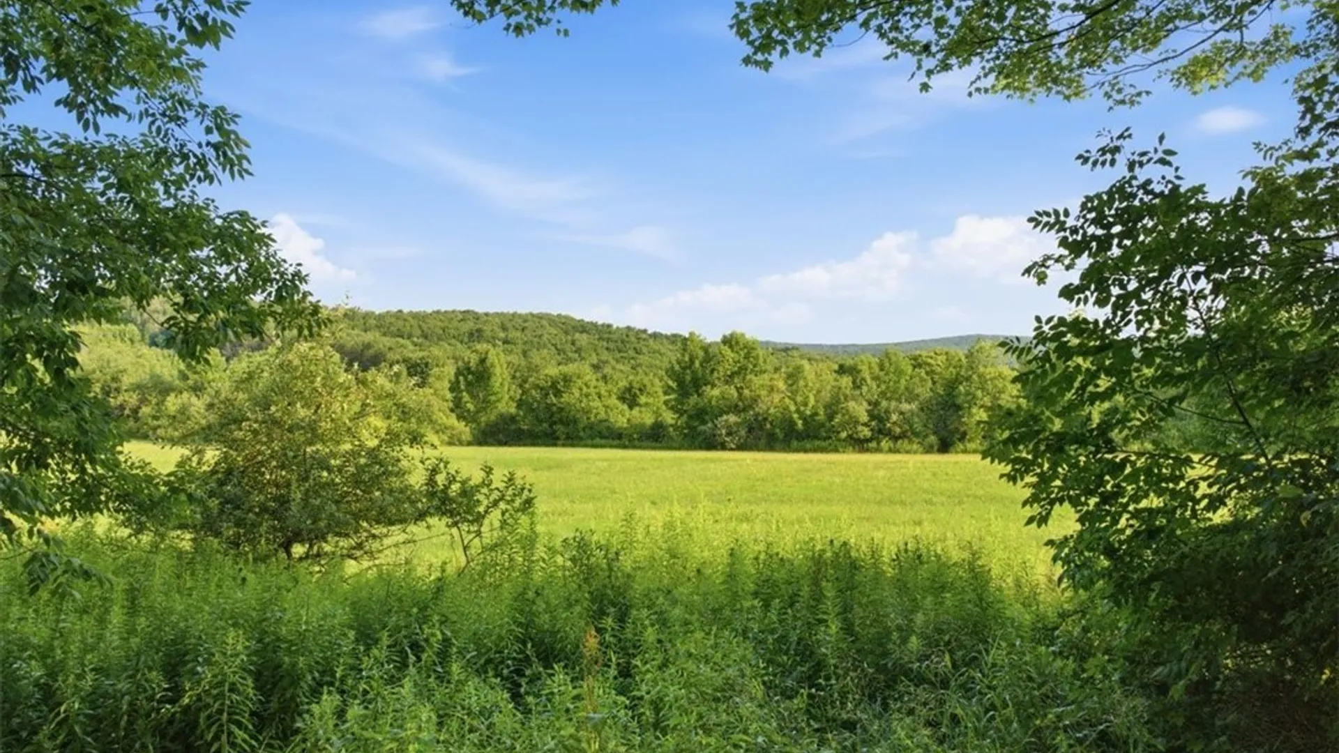 Property at 2108 E Hill Road, Franklinville, NY 14737 18