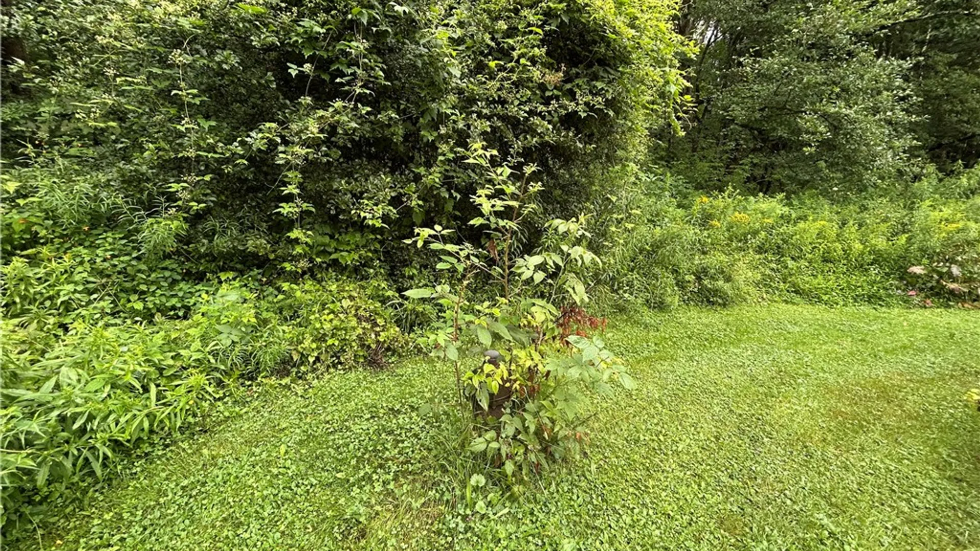 Property at 2245 Sanly Road, Franklin, NY 13775 16