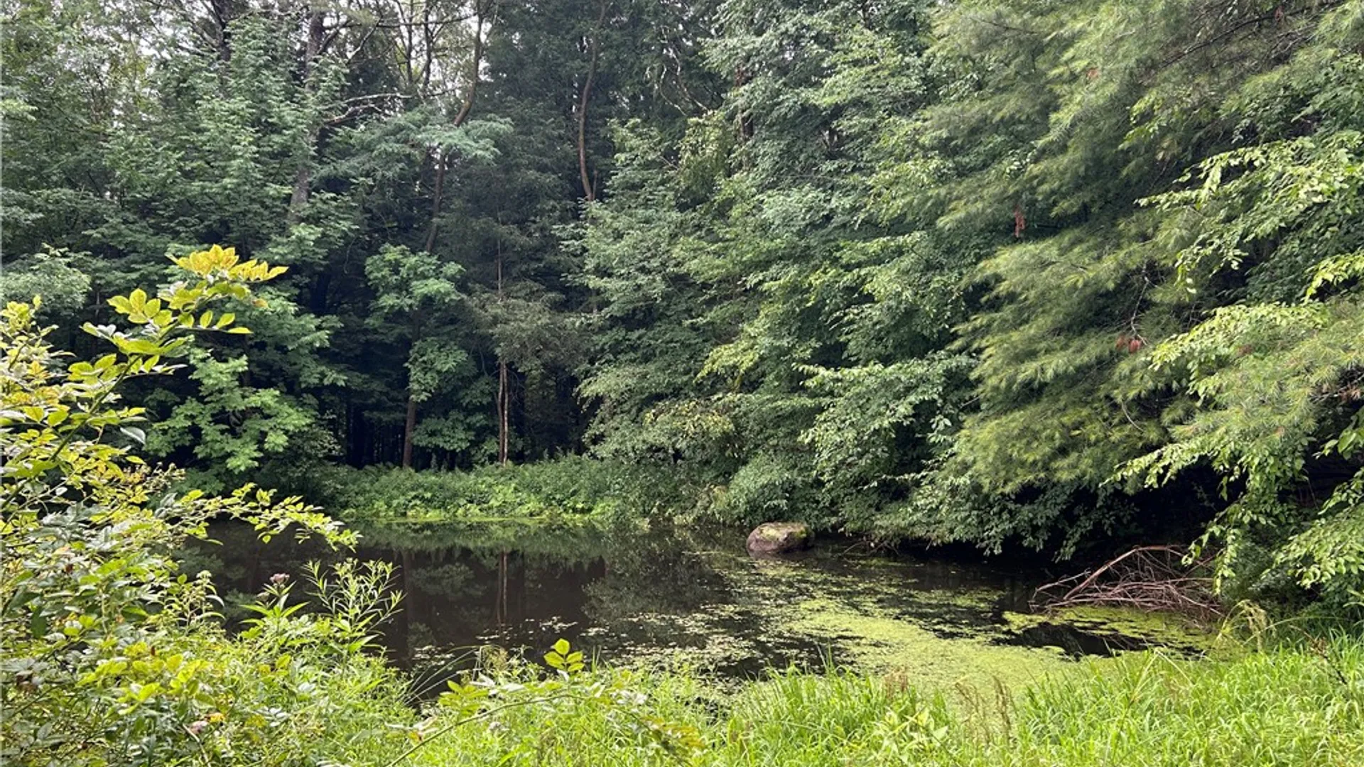 Property at 2245 Sanly Road, Franklin, NY 13775 21