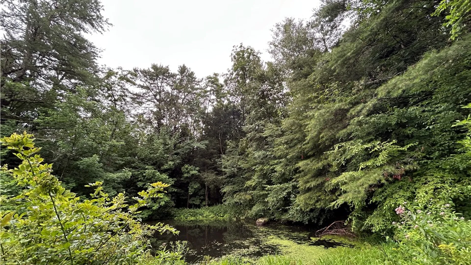 Property at 2245 Sanly Road, Franklin, NY 13775 4
