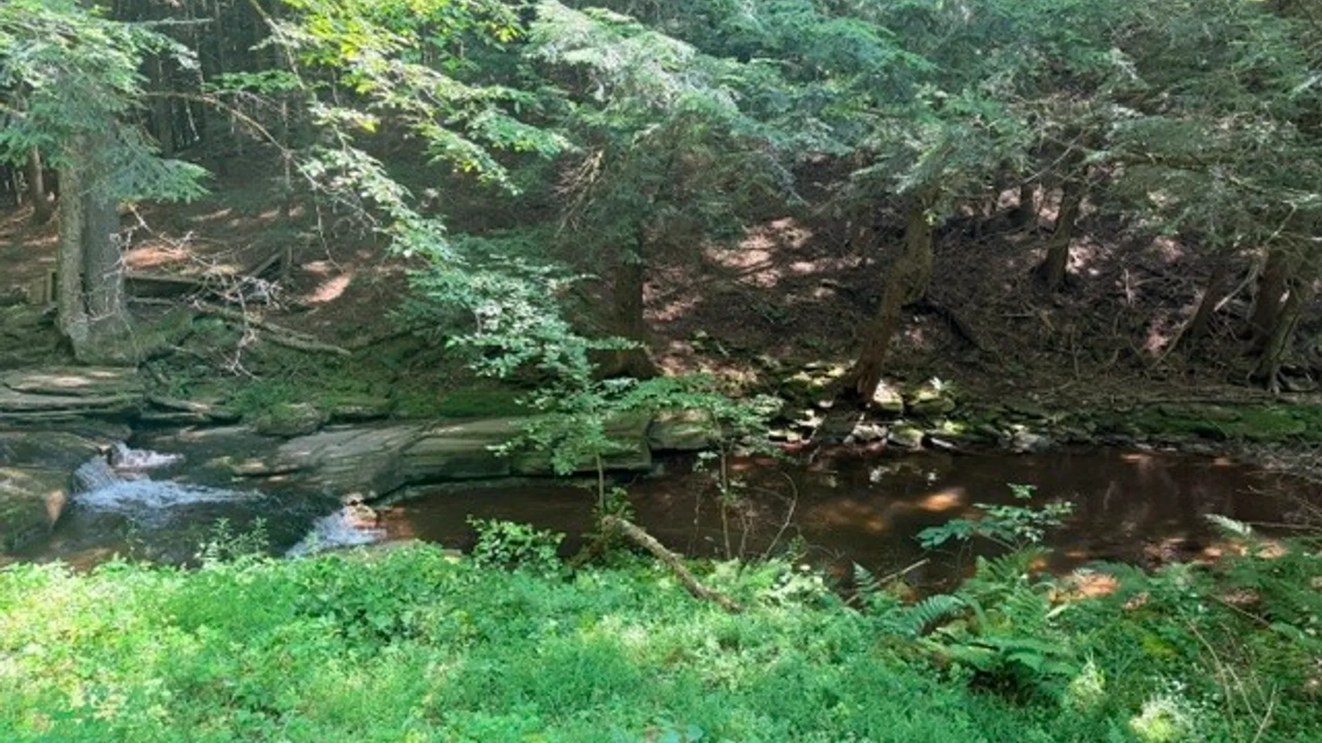 Property at Lot 35 Webster Brook Road, Kortright, NY 13842 11