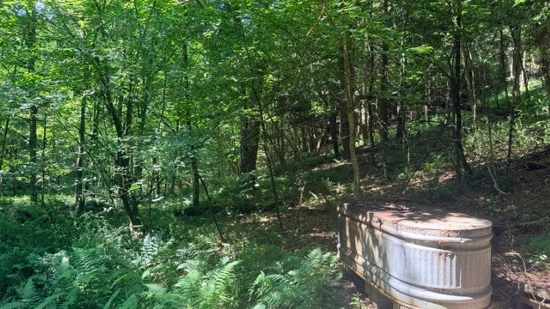 Property at Lot 35 Webster Brook Road, Kortright, NY 13842 12
