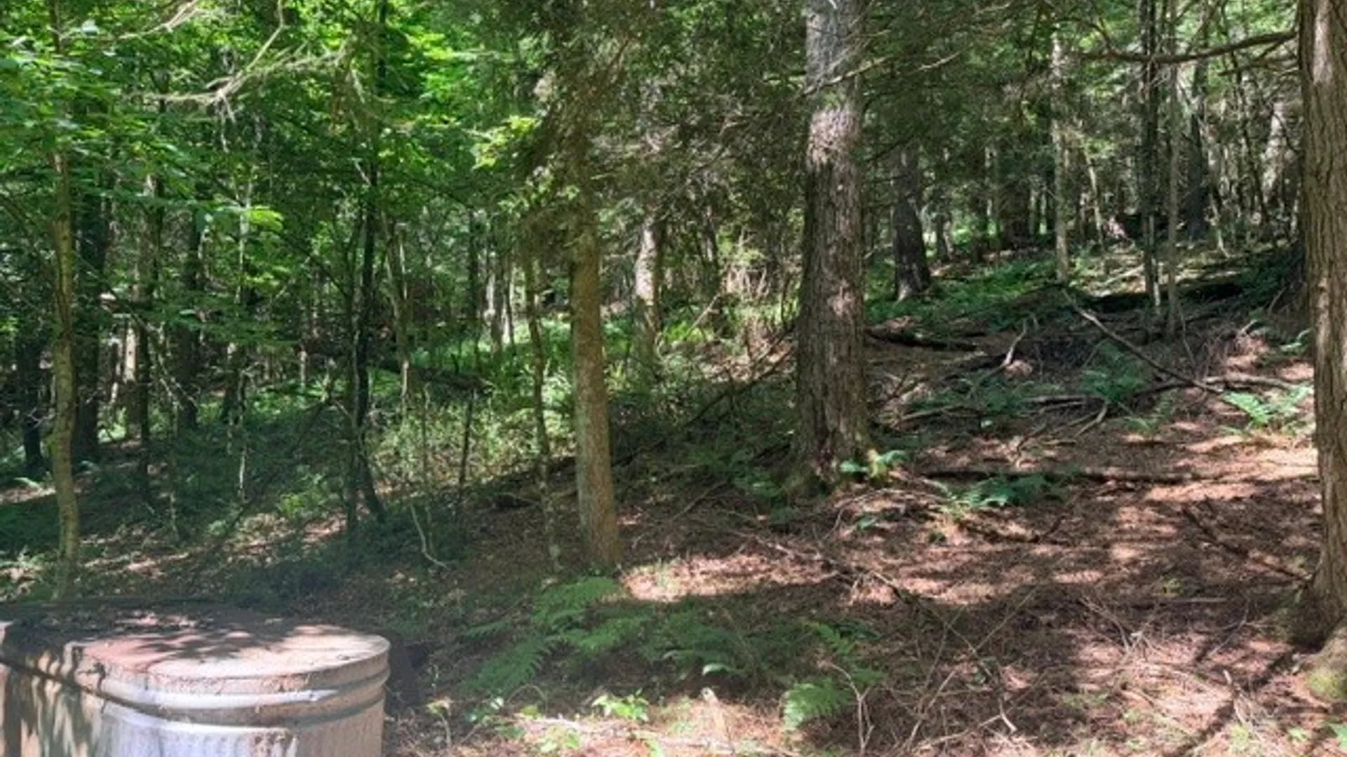 Property at Lot 35 Webster Brook Road, Kortright, NY 13842 13