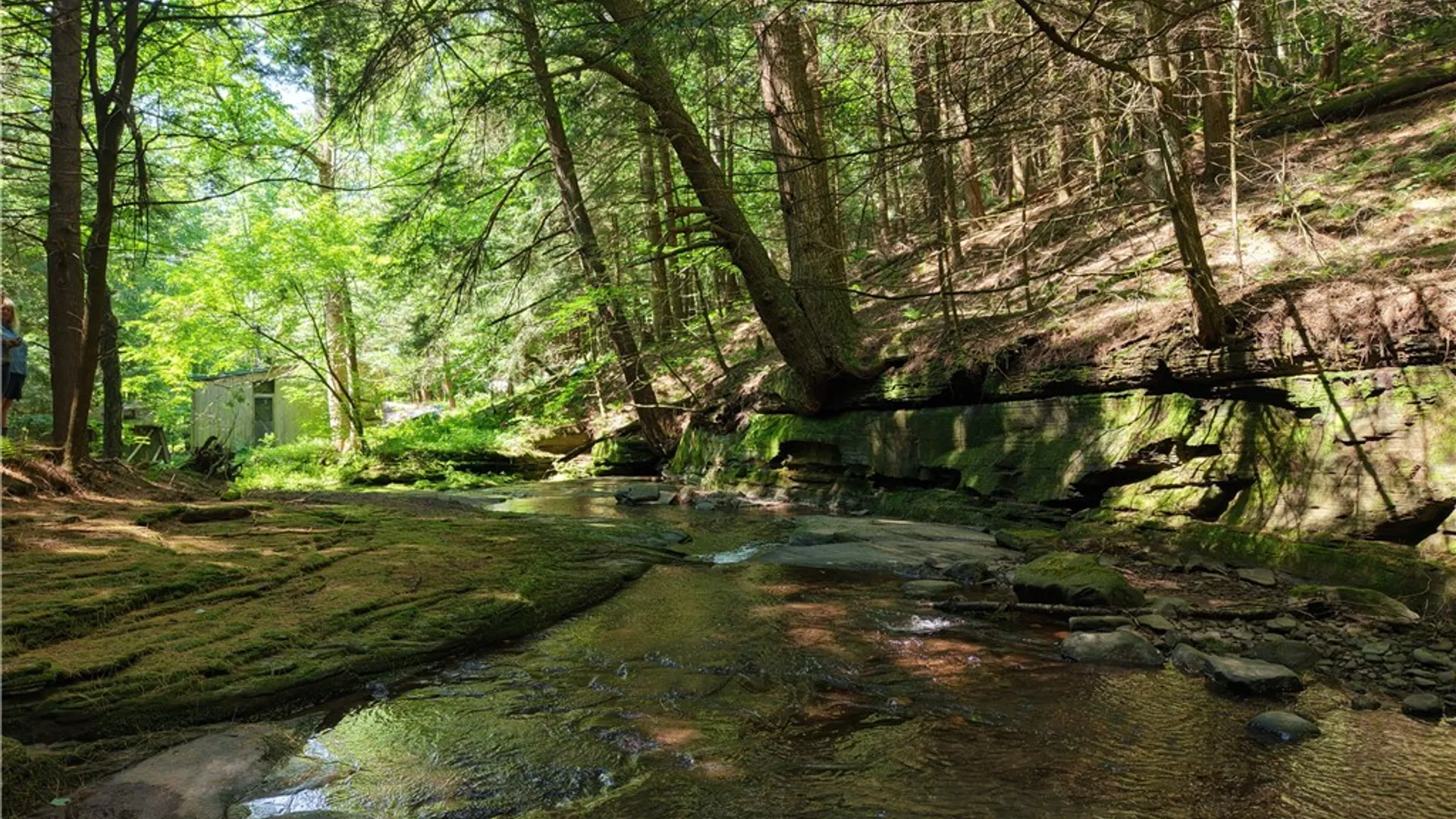 Property at Lot 35 Webster Brook Road, Kortright, NY 13842 15