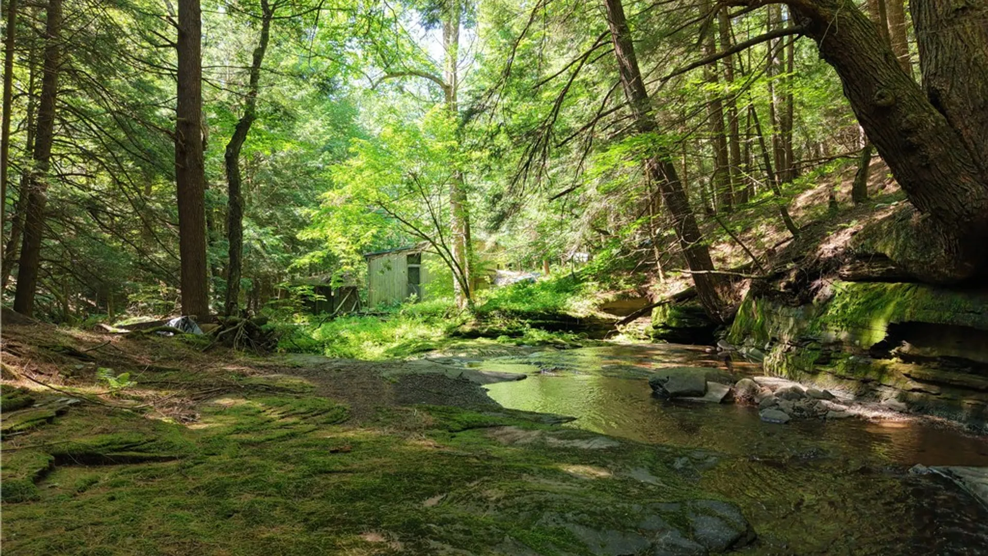 Property at Lot 35 Webster Brook Road, Kortright, NY 13842 16