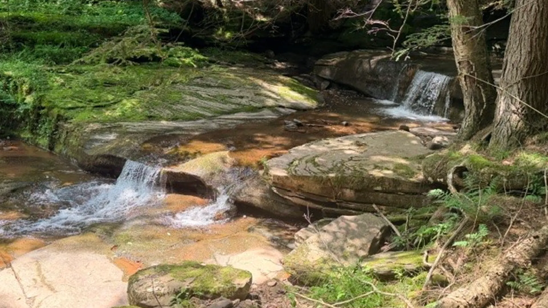 Property at Lot 35 Webster Brook Road, Kortright, NY 13842 17