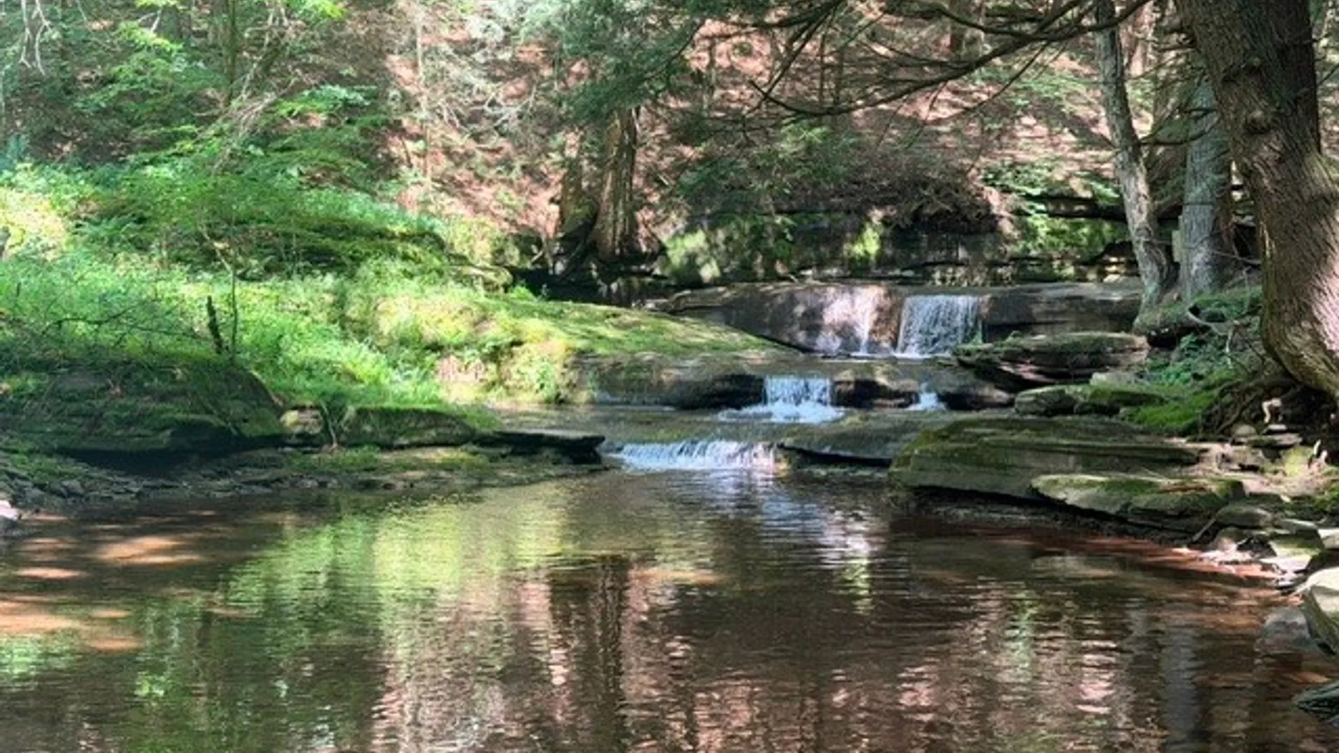 Property at Lot 35 Webster Brook Road, Kortright, NY 13842 18