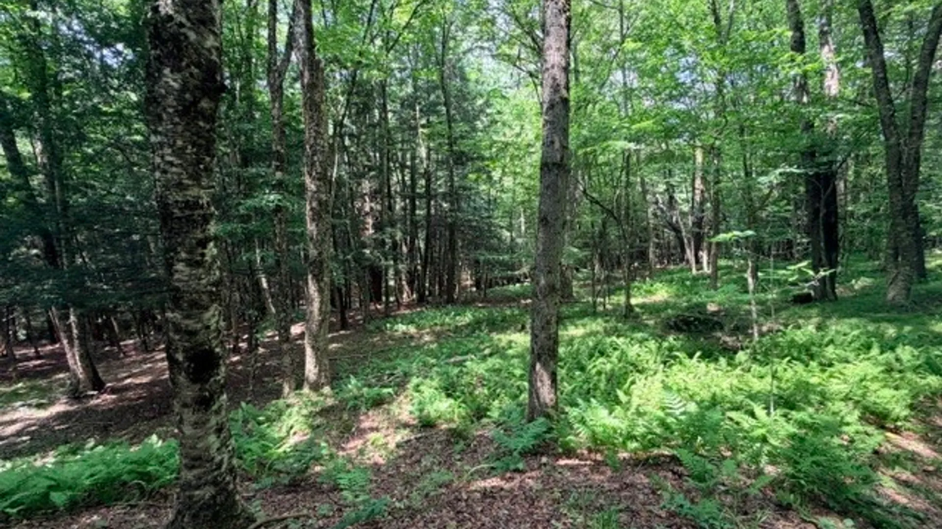 Property at Lot 35 Webster Brook Road, Kortright, NY 13842 19