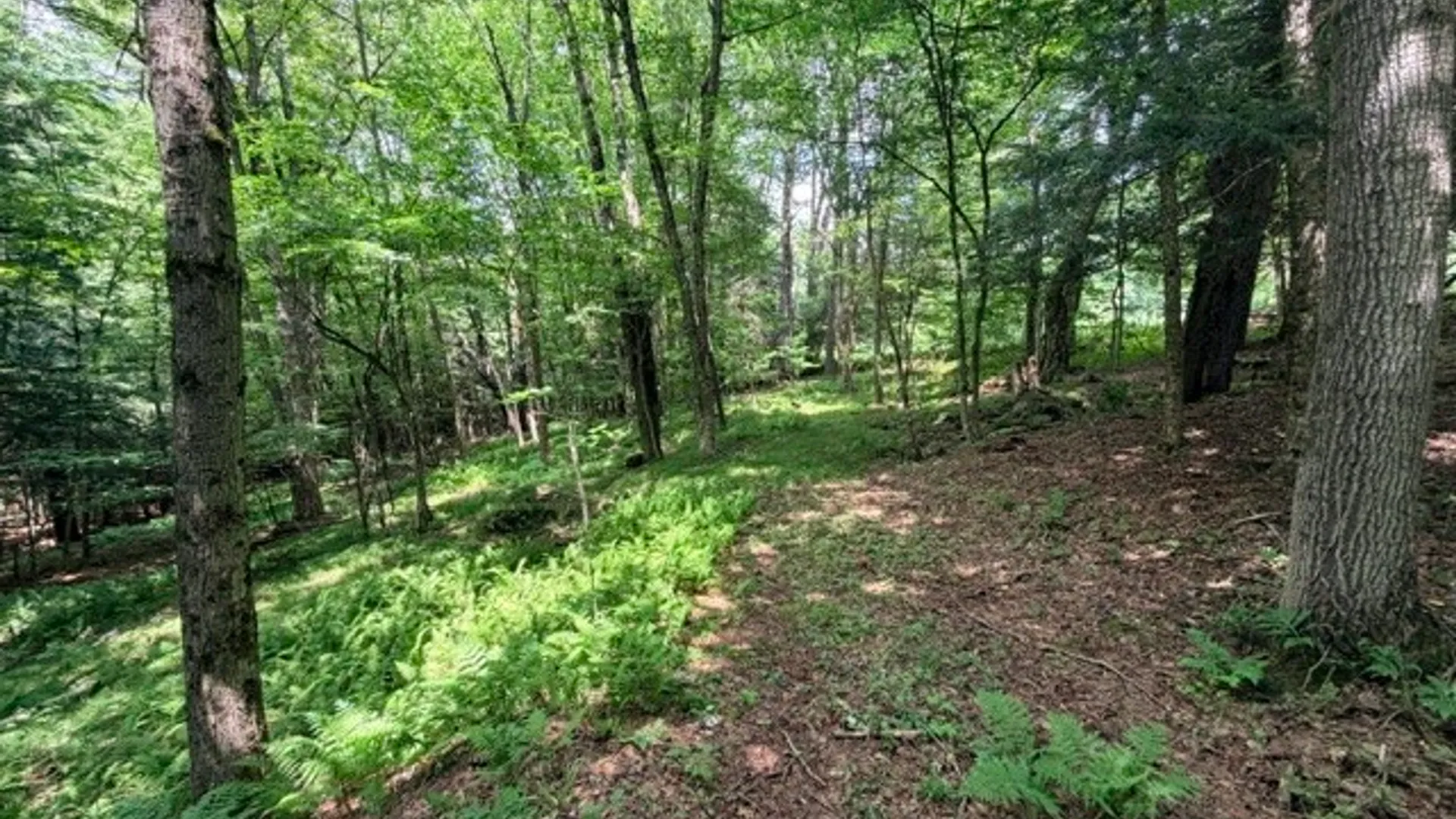 Property at Lot 35 Webster Brook Road, Kortright, NY 13842 20