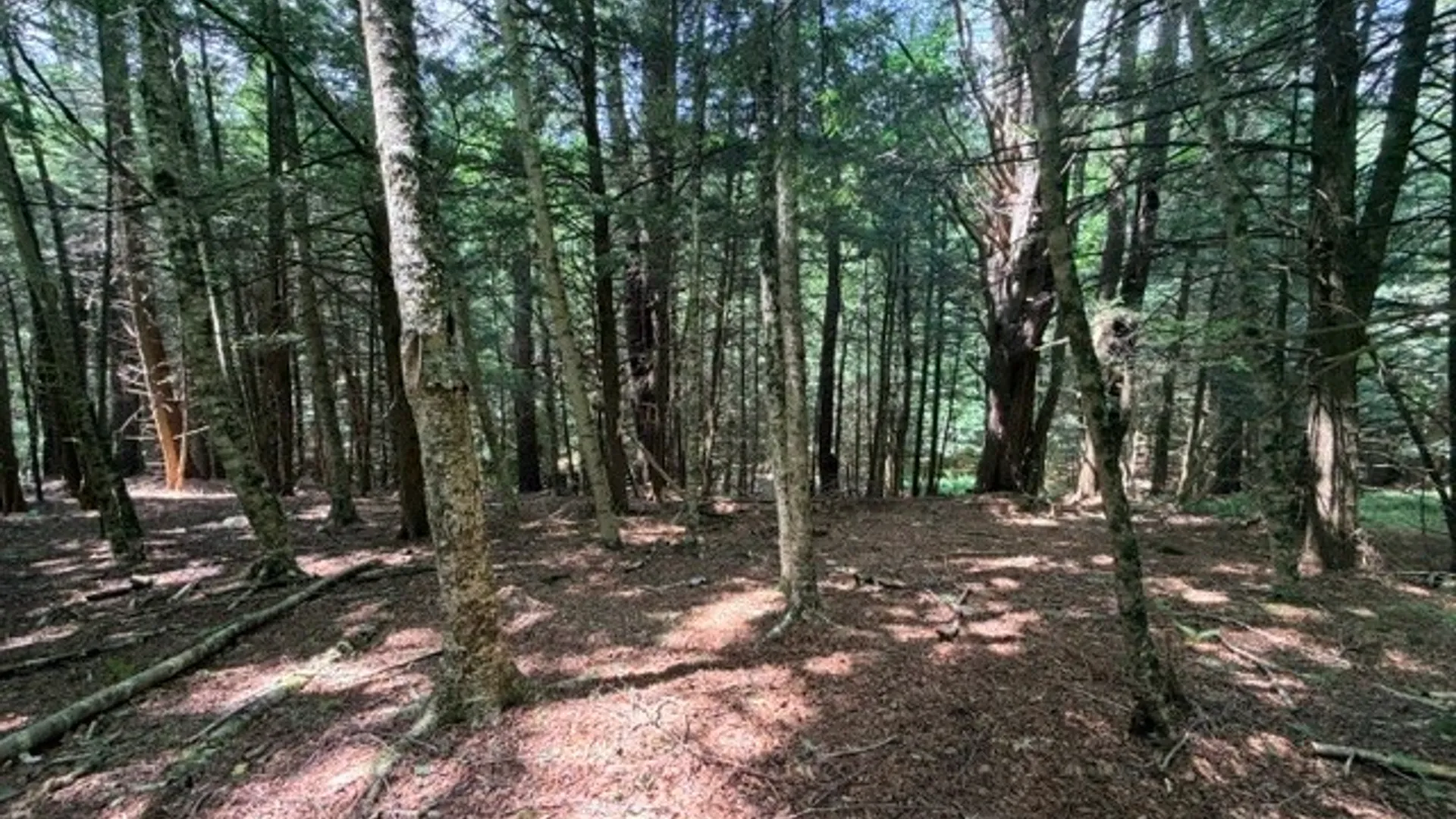 Property at Lot 35 Webster Brook Road, Kortright, NY 13842 21