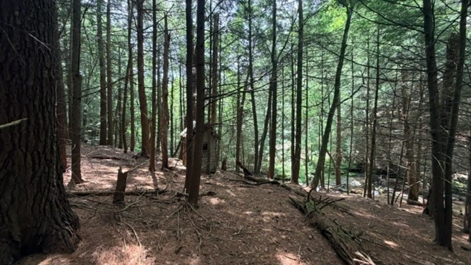 Property at Lot 35 Webster Brook Road, Kortright, NY 13842 22