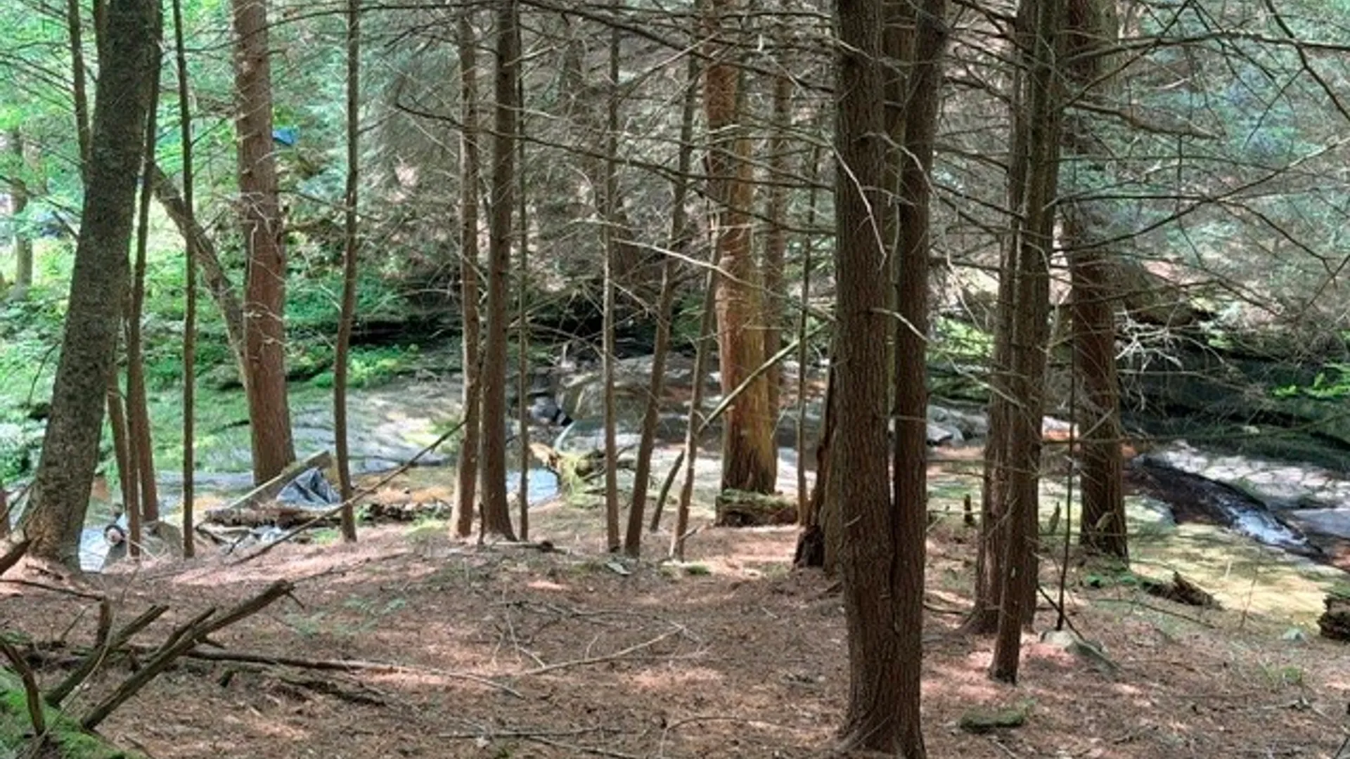 Property at Lot 35 Webster Brook Road, Kortright, NY 13842 23