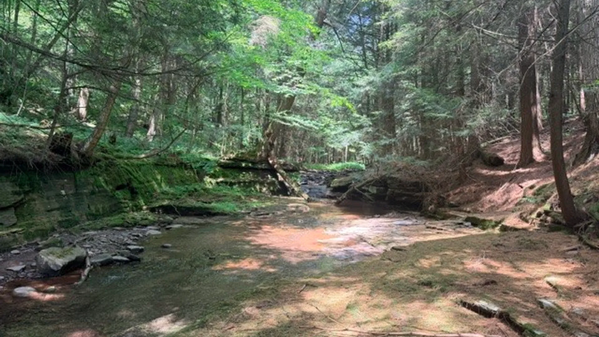 Property at Lot 35 Webster Brook Road, Kortright, NY 13842 24