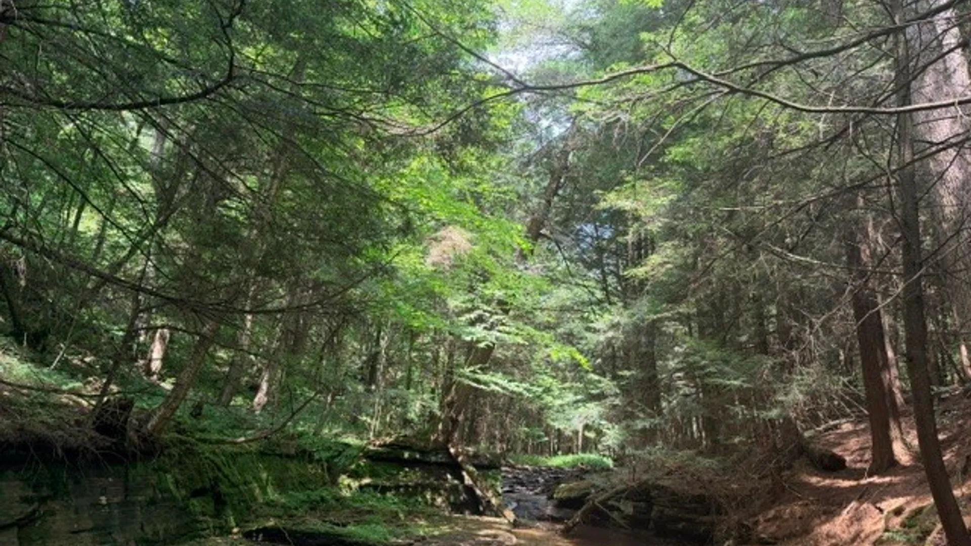 Property at Lot 35 Webster Brook Road, Kortright, NY 13842 25