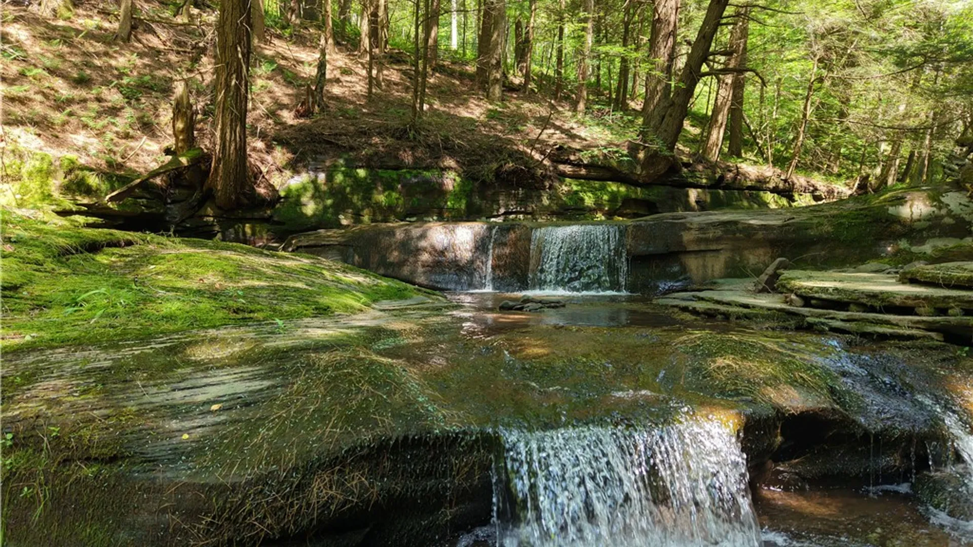 Property at Lot 35 Webster Brook Road, Kortright, NY 13842 3
