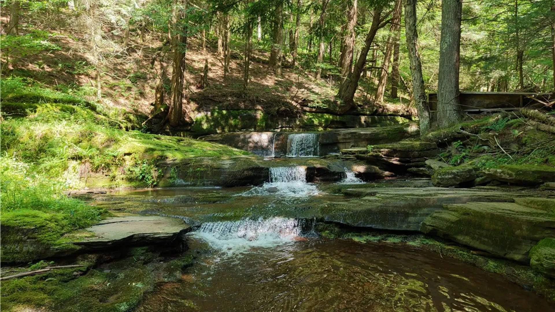 Property at Lot 35 Webster Brook Road, Kortright, NY 13842 6