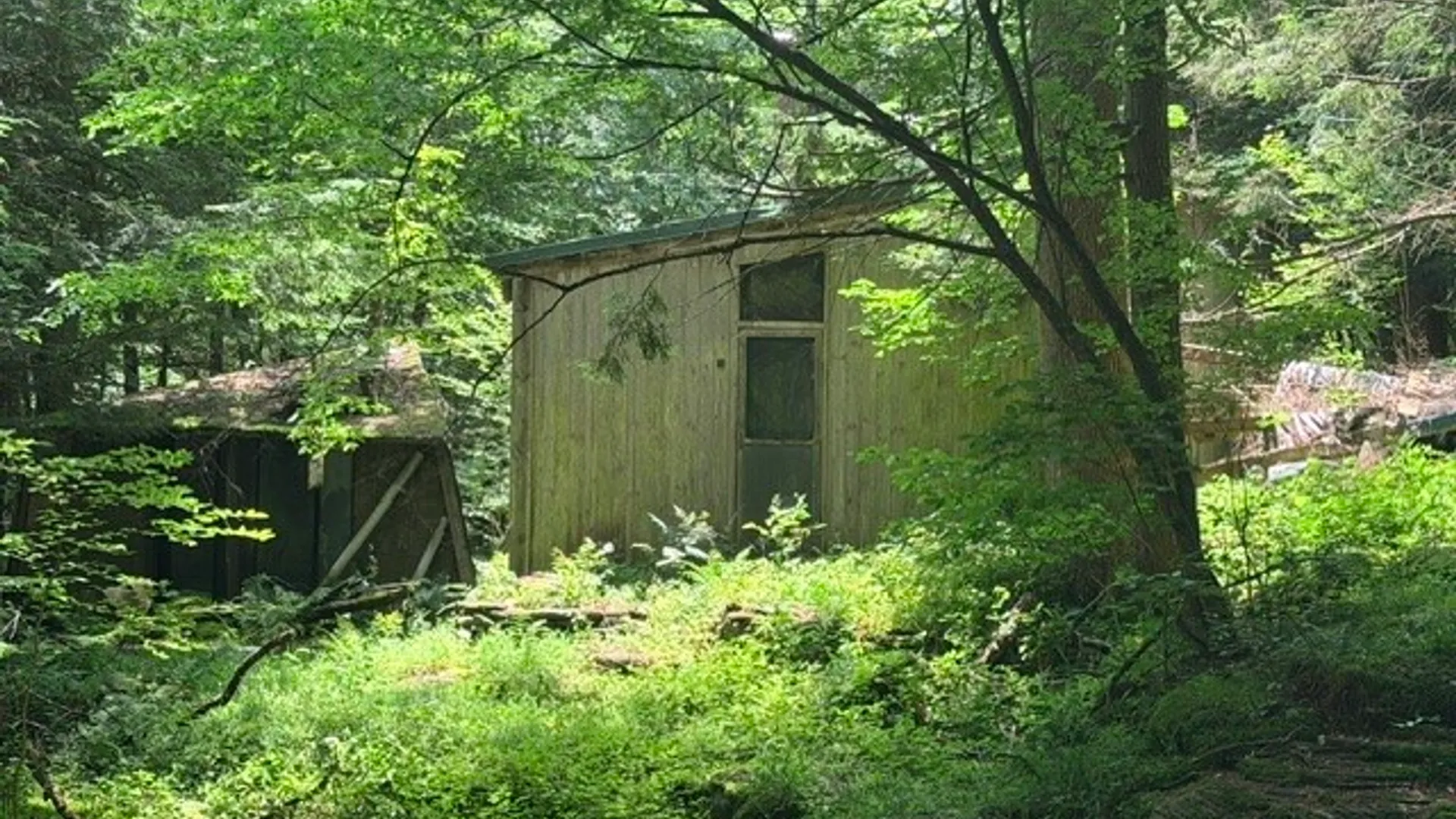 Property at Lot 35 Webster Brook Road, Kortright, NY 13842 8