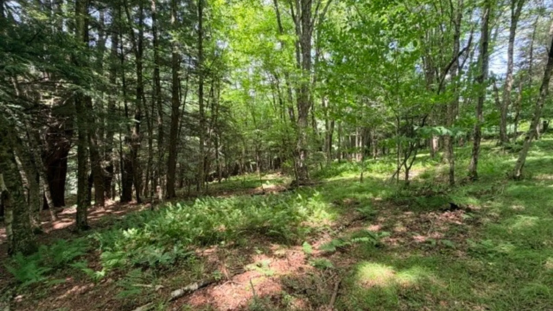 Property at Lot 35 Webster Brook Road, Kortright, NY 13842 33