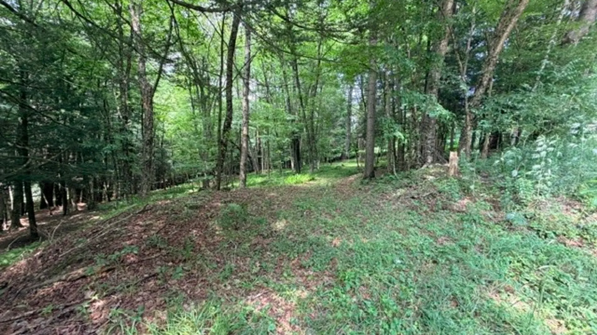 Property at Lot 35 Webster Brook Road, Kortright, NY 13842 34