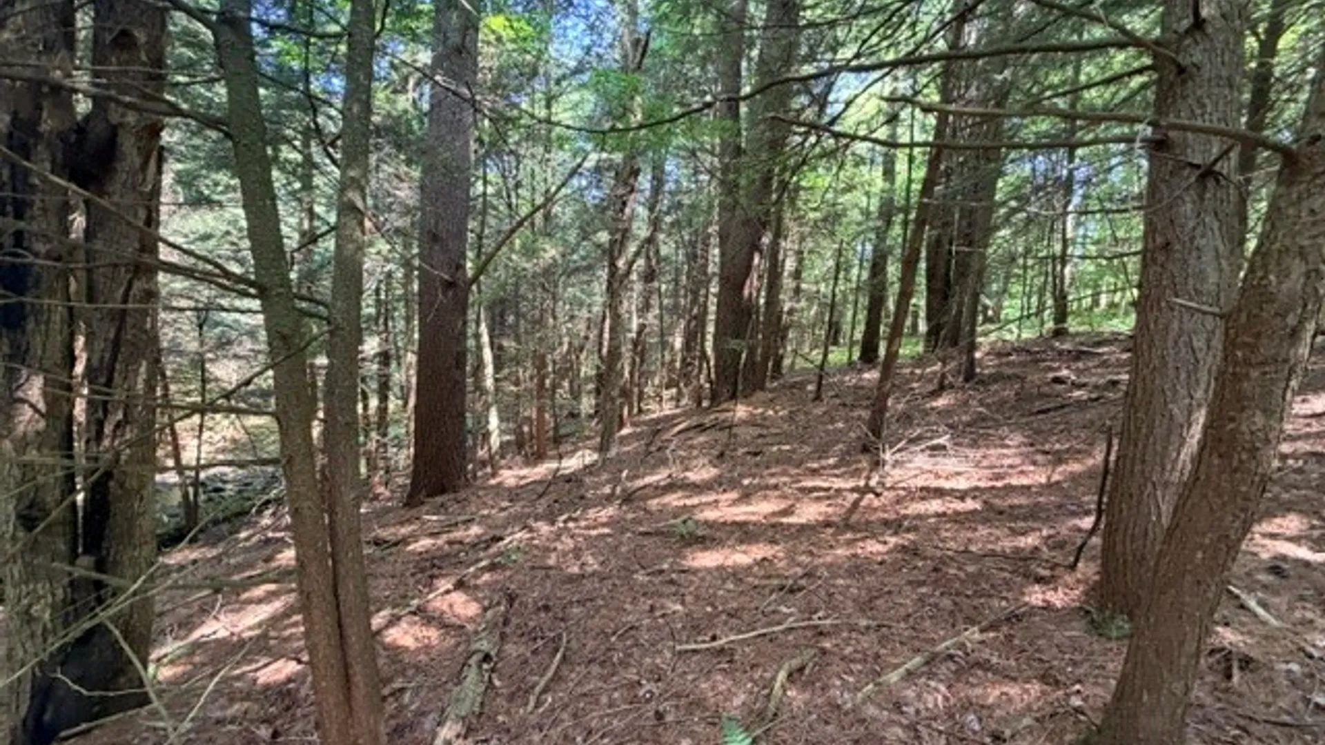 Property at Lot 35 Webster Brook Road, Kortright, NY 13842 36