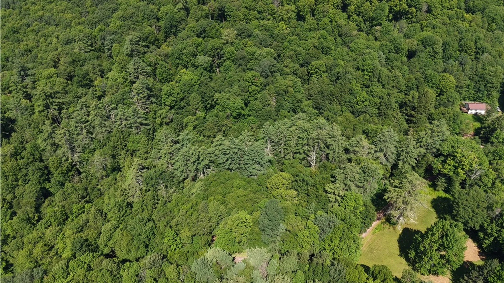 Property at Lot 35 Webster Brook Road, Kortright, NY 13842 40