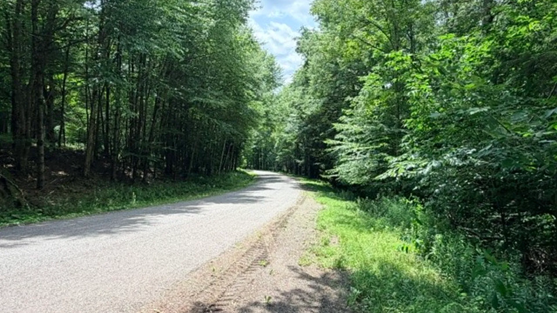 Property at Lot 35 Webster Brook Road, Kortright, NY 13842 41