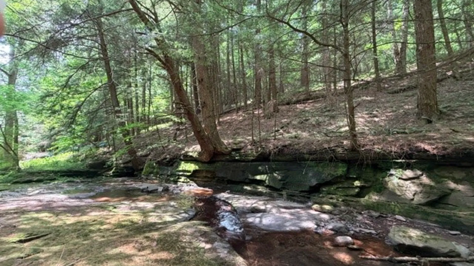 Property at Lot 35 Webster Brook Road, Kortright, NY 13842 27