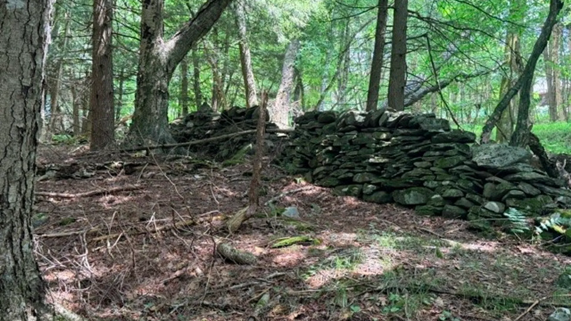 Property at Lot 35 Webster Brook Road, Kortright, NY 13842 28