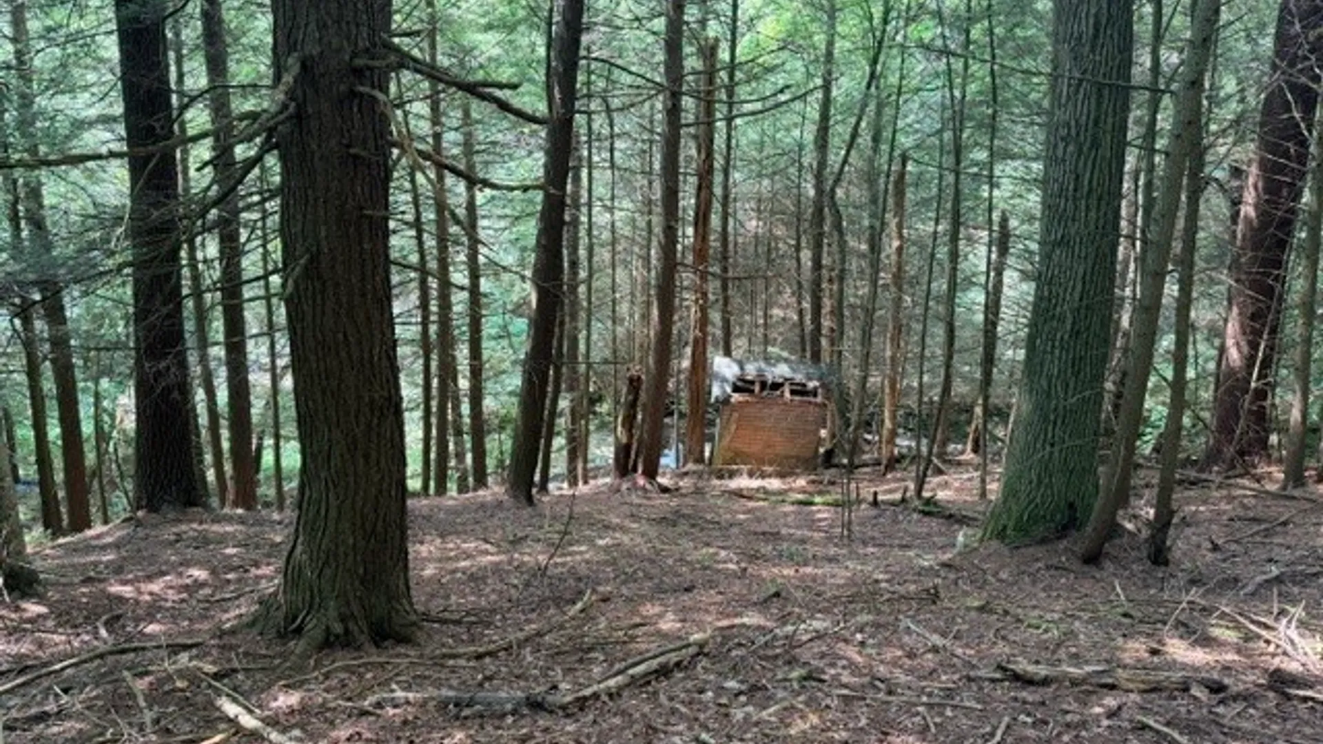Property at Lot 35 Webster Brook Road, Kortright, NY 13842 30