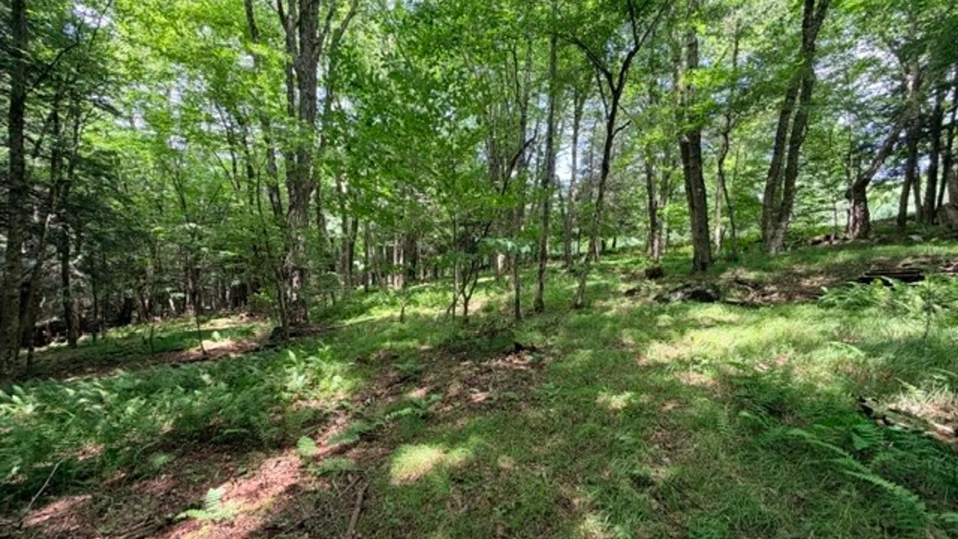 Property at Lot 35 Webster Brook Road, Kortright, NY 13842 31