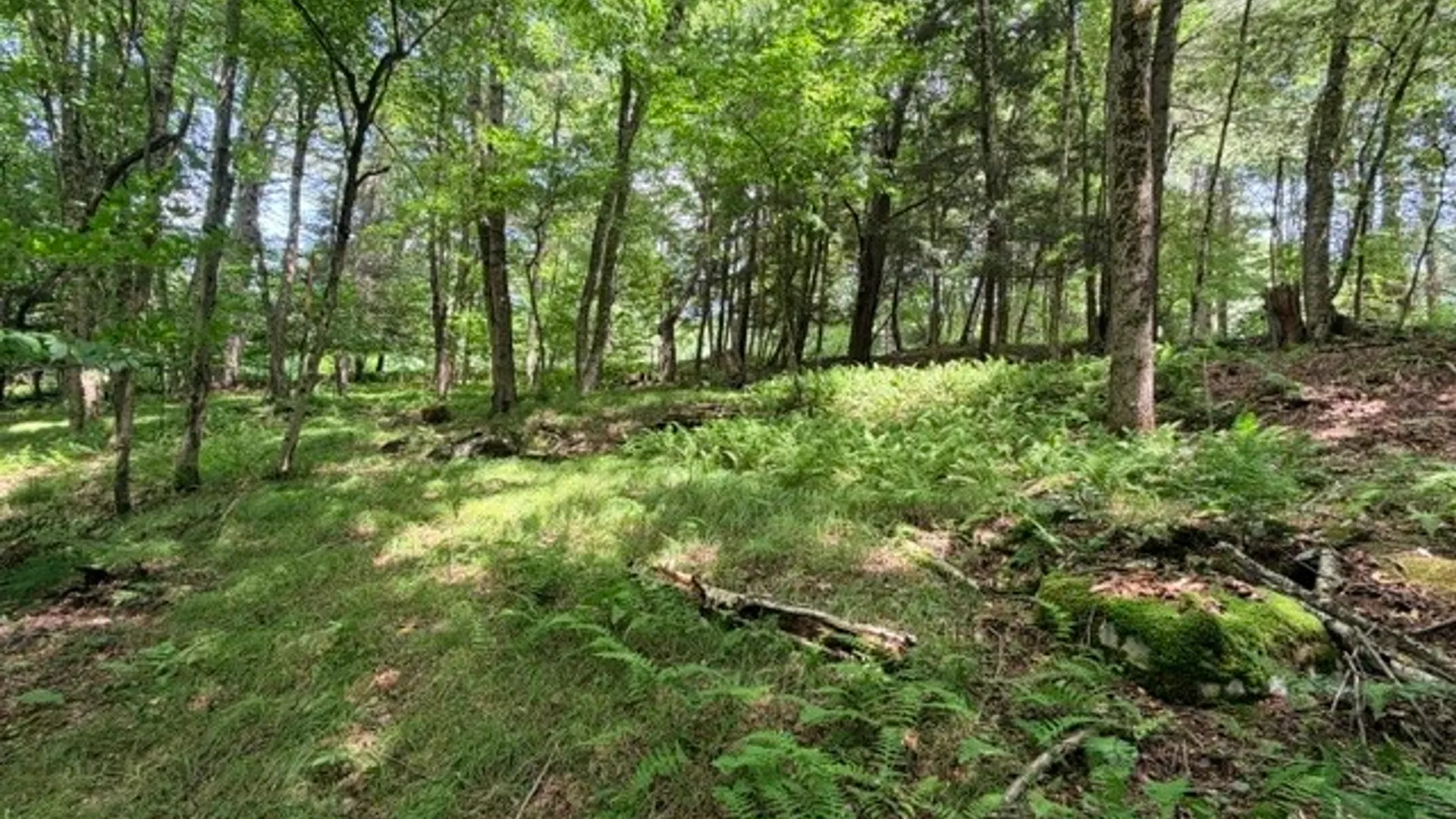 Property at Lot 35 Webster Brook Road, Kortright, NY 13842 32