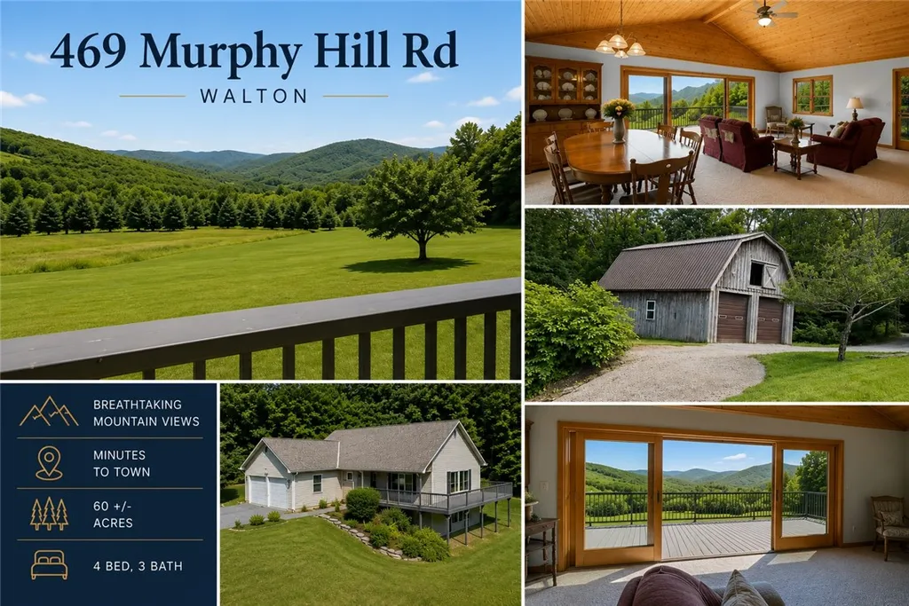 Property at 469 Murphy Hill Road, Walton, NY 13856