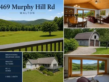 Property at 469 Murphy Hill Road, Walton, NY 13856