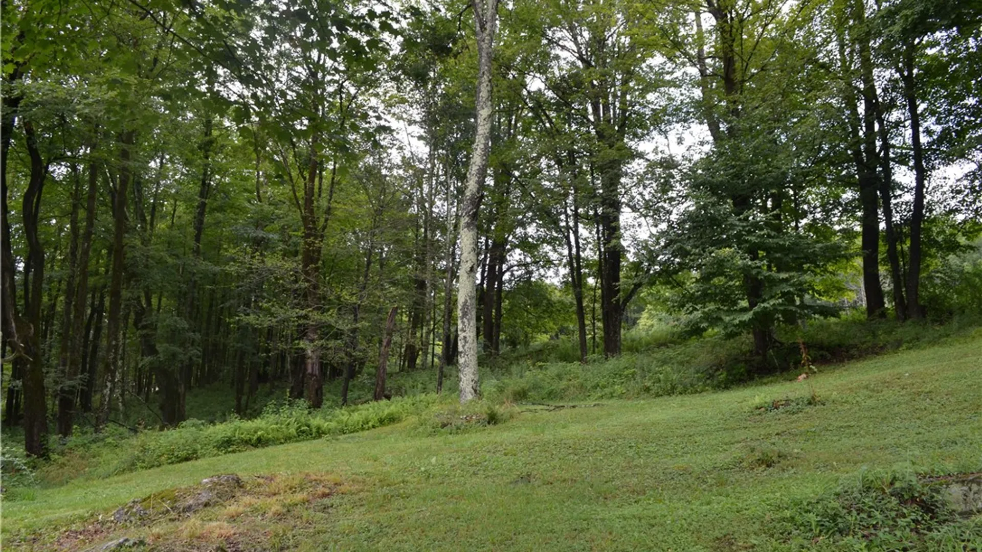 Property at 833 Biffar Road, Hancock, NY 12760 29
