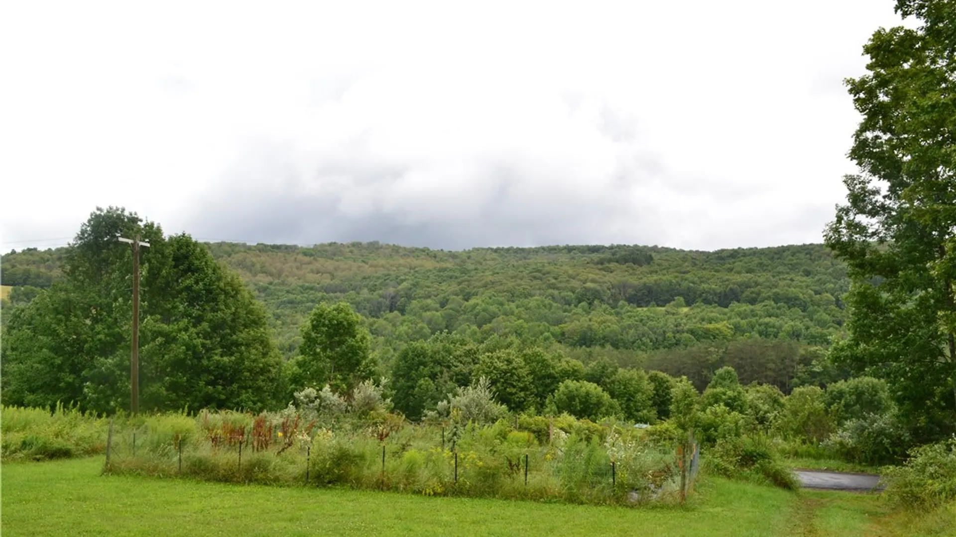 Property at 833 Biffar Road, Hancock, NY 12760 30