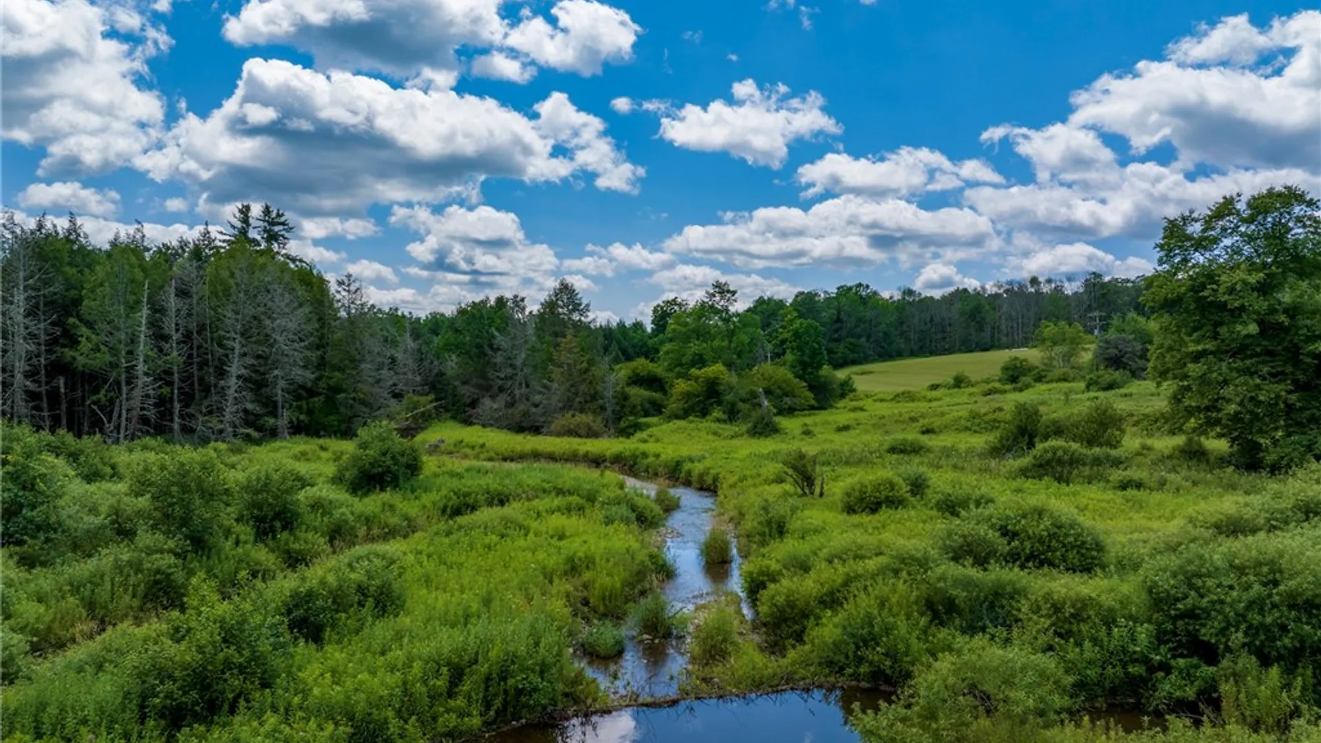 Property at 197 Cosen Road, Oxford, NY 13830 46
