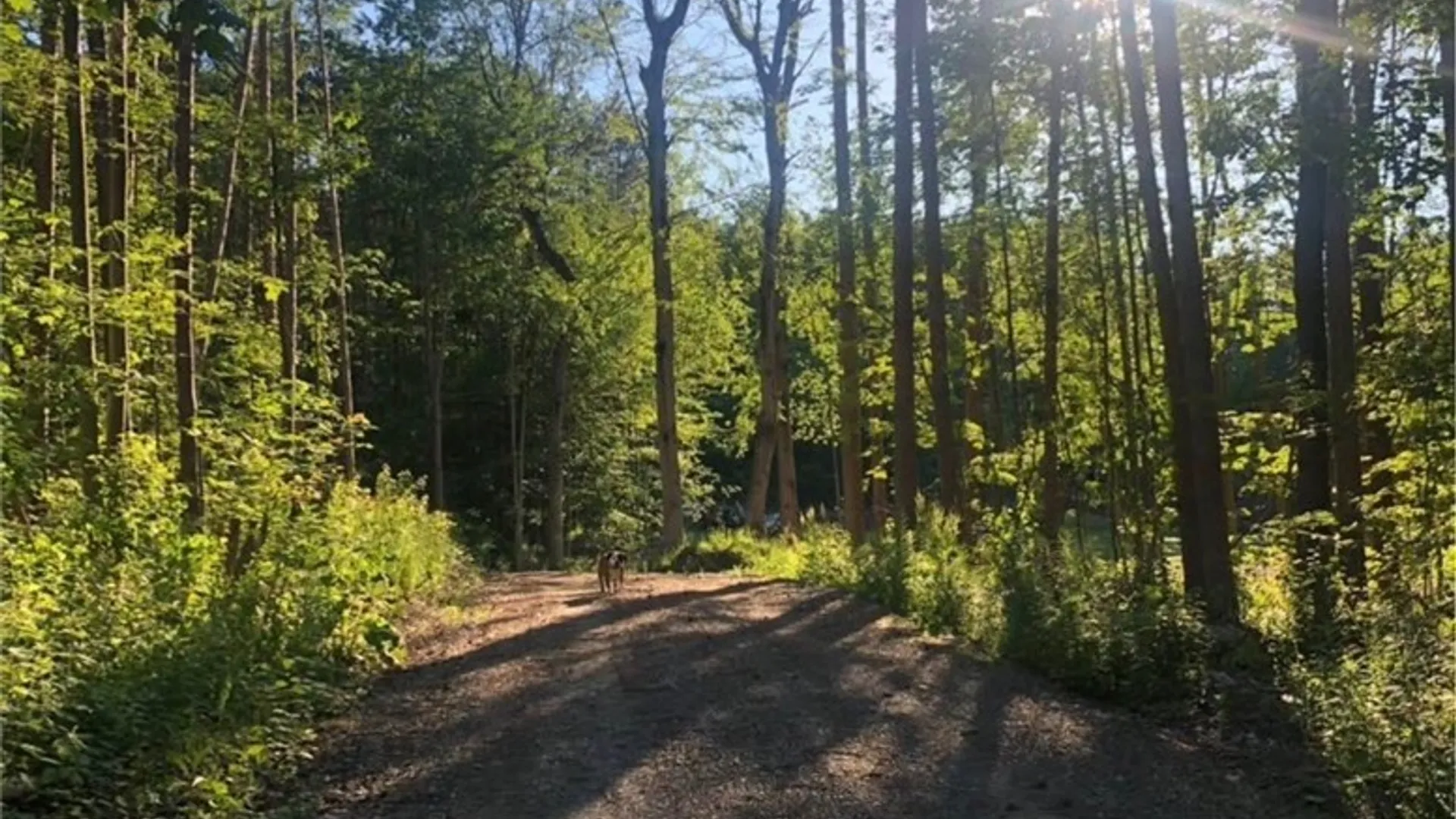 Property at Yellow Barn Road, Dryden, NY 13068 3