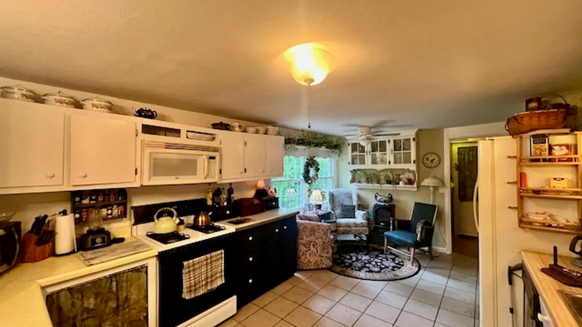 Property at 8 Wall Street, Dryden, NY 13053 30