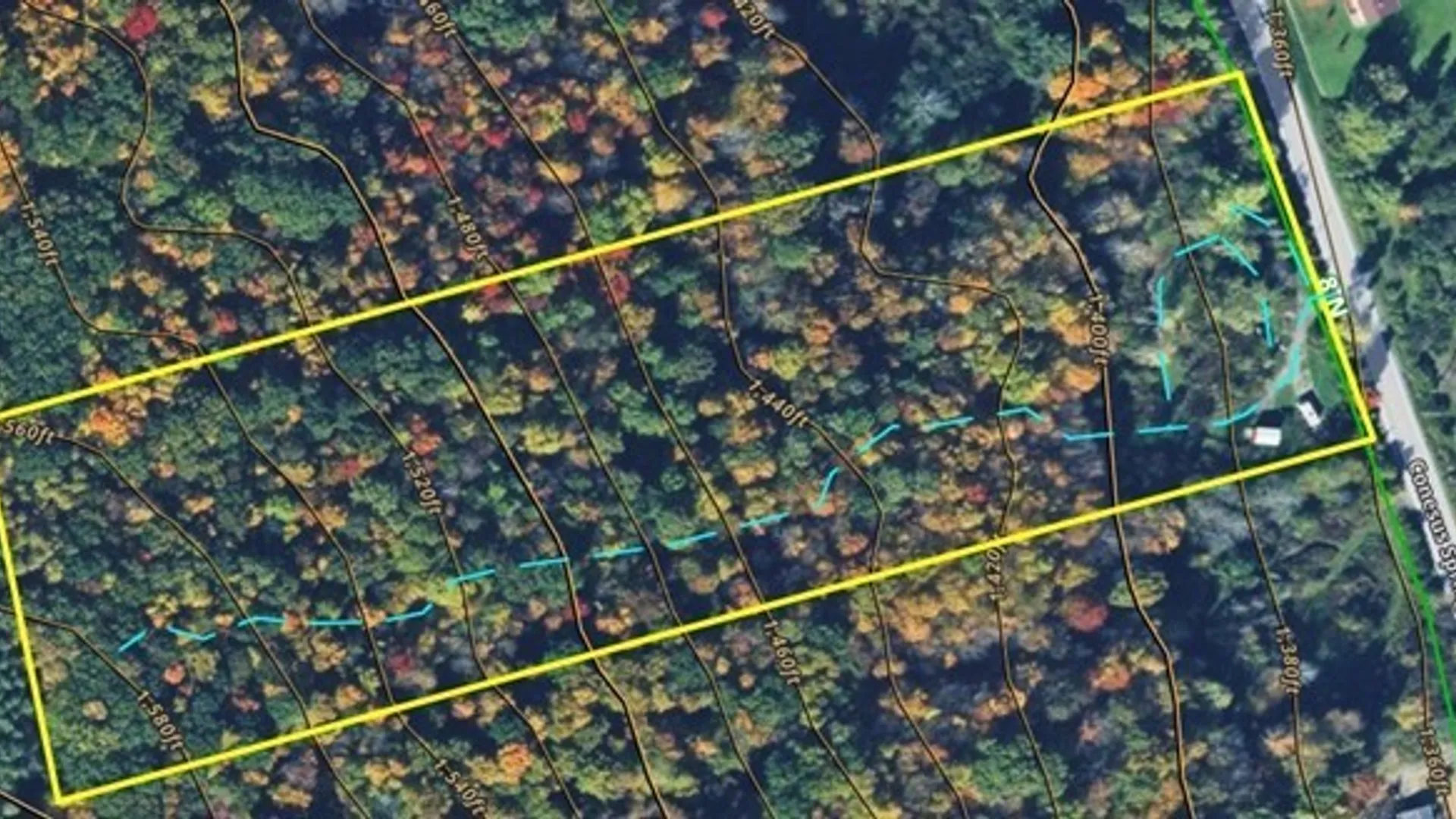 Property at 6950 Conesus Springwater Road, Conesus, NY 14435 4