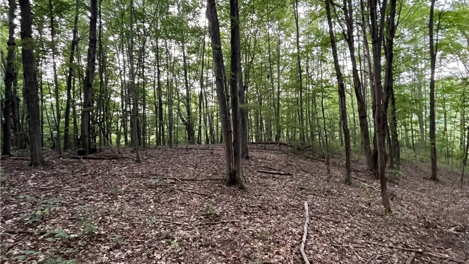 Property at 6950 Conesus Springwater Road, Conesus, NY 14435 7